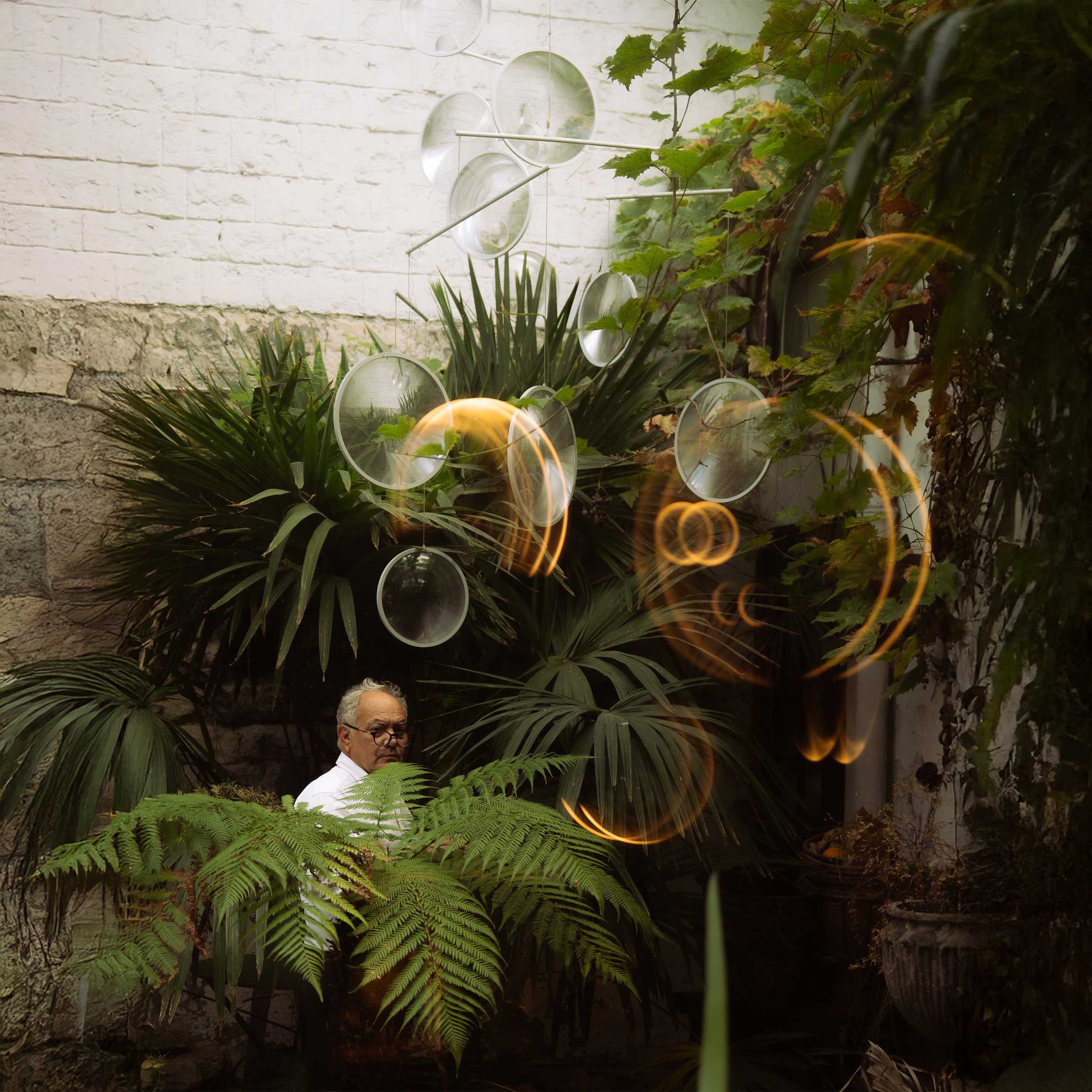 DCW éditions Focus LED závesné svietidlo