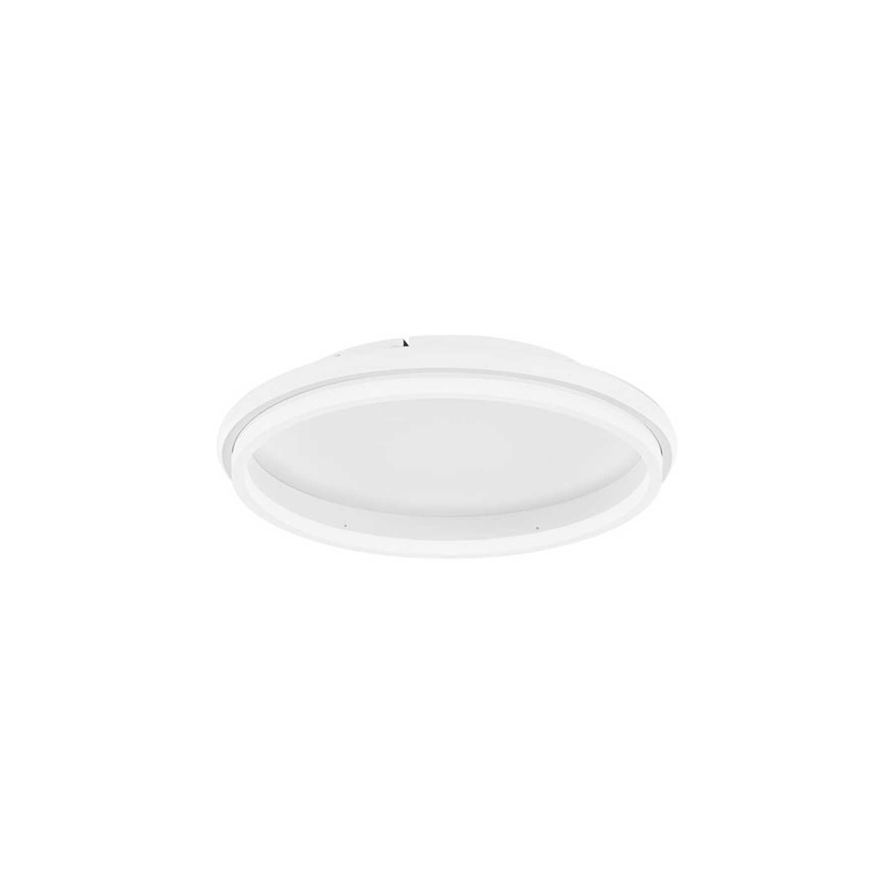Nova Luce Willow LED stropní svítidlo