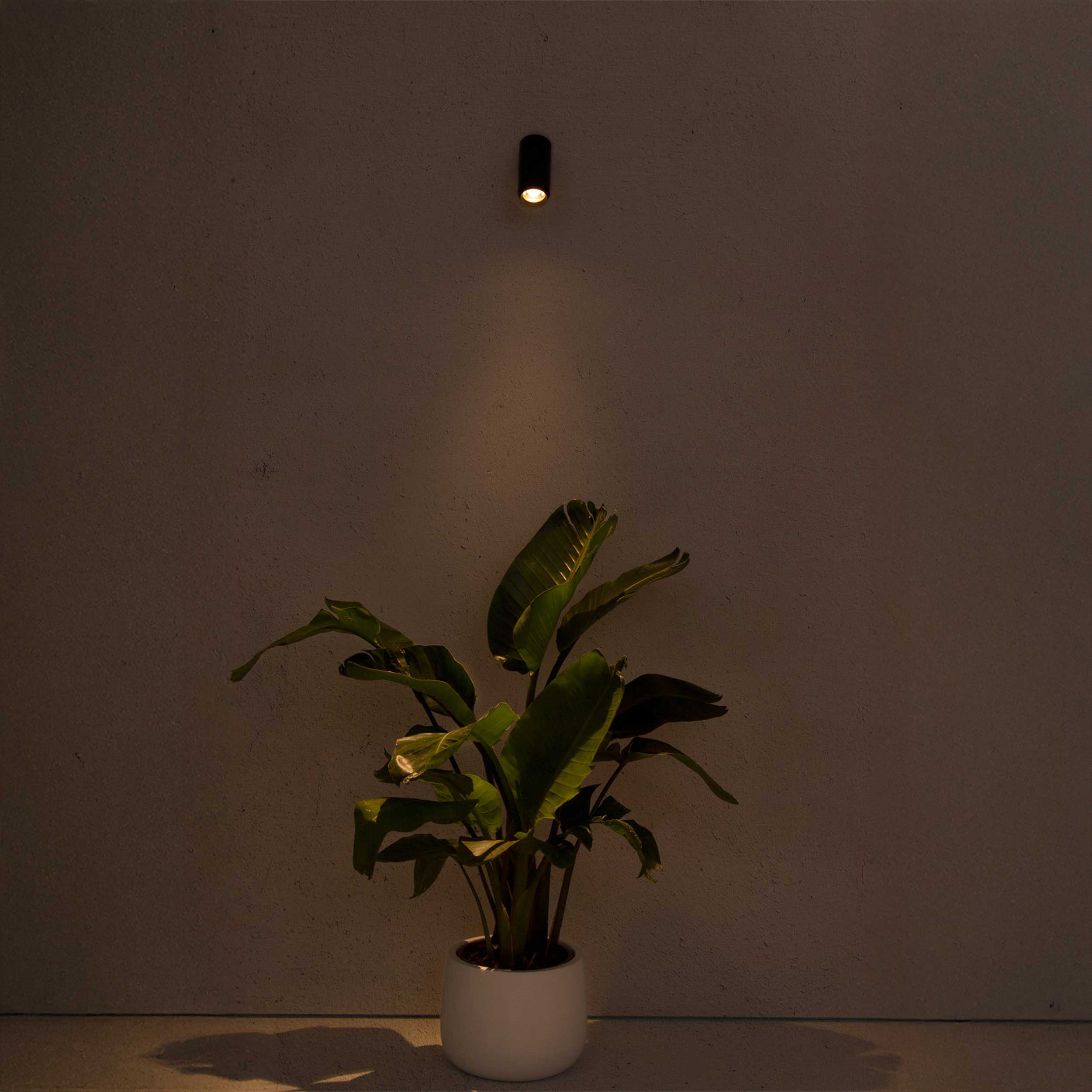 Nástenné vonkajšie nastaviteľné svietidlo Faro Plom LED IP64